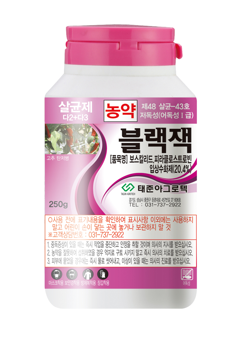 블랙잭 입상수화제