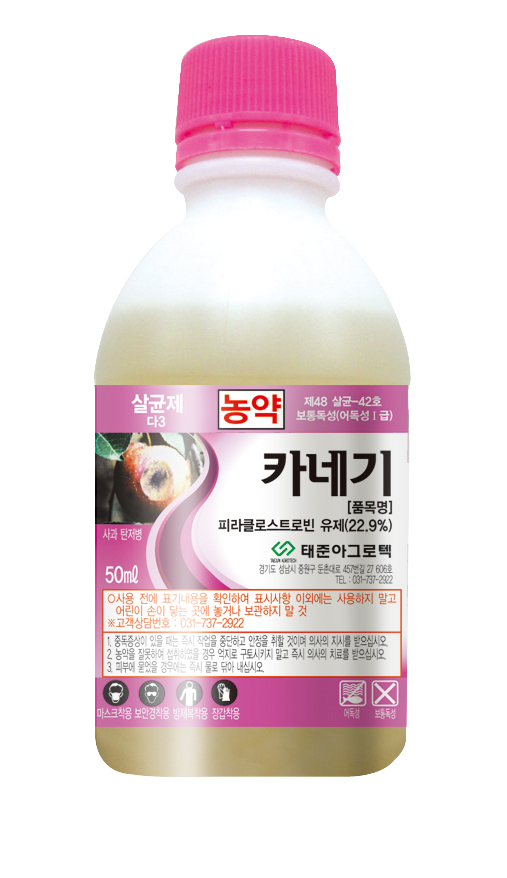 카네기 유제